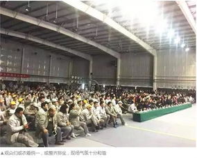 唐山庞大浩翔