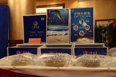 兴城多宝鱼走进北京品牌推介会专题活动在京圆满召开