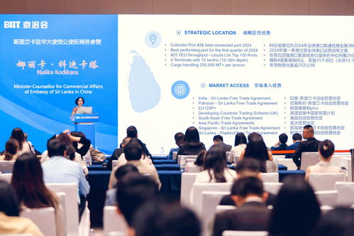 36氪出海 活动 2025北京国际投资贸易洽谈会成功举办