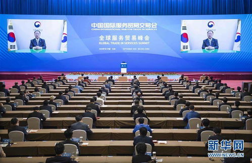 联合国贸发会议报告显示 全球贸易萎缩 中国 一枝独秀