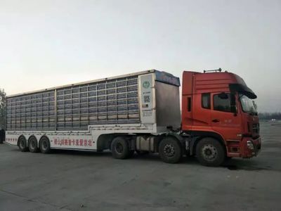 2018年北京爱亚卡普公棚548.8公里决赛开笼(图片)